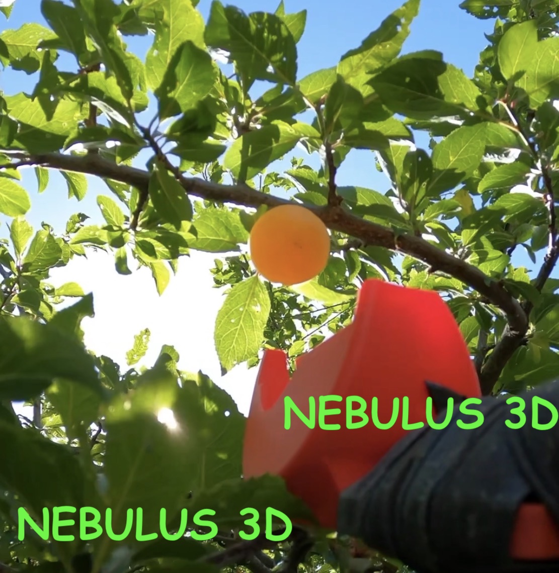 Le cueilleur de fruits de poche à emporter partout – « Le Merle »
