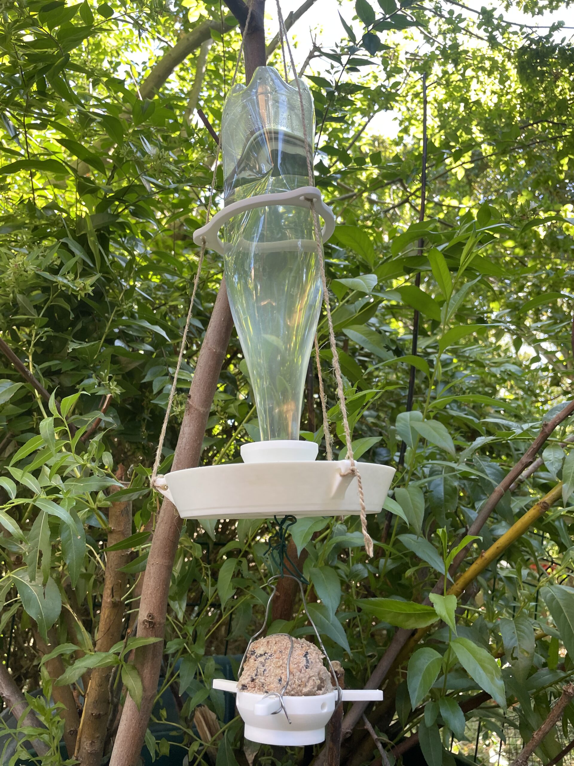 Abreuvoir 2 en 1 pour oiseaux: offrez un petit coup de pouce à la biodiversité